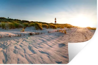 Produktbild von MuchoWow® - Wierderverwendbar - Selbstklebend
