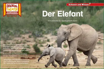 Produktbild von Der Elefant / Kamishibai Bildkarten