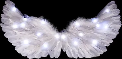 Produktbild von Leuchtende Engelsflügel,Engelsflügel,leuchtende Engelsflügel,leuchtende Engelsflügel mit LED-Lichterkette,Flügelrequisite