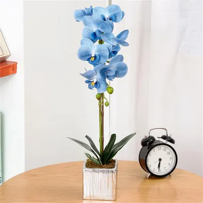 Productafbeelding van Nep Orchidee - Kunstbloemen Pot - Decoratie Huis - Realistisch Uiterlijk - 50 cm Hoog - Blauw