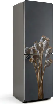 Zdjęcie produktu dla Pęczek suchych maków - Magnetyczna osłona na lodówkę - Magnetyczna osłona na lodówkę - Folia magnetyczna na drzwi lodówki - 60x180 cm - Samoprzylepna tablica magnetyczna - Folia magnetyczna na drzwi lodówki