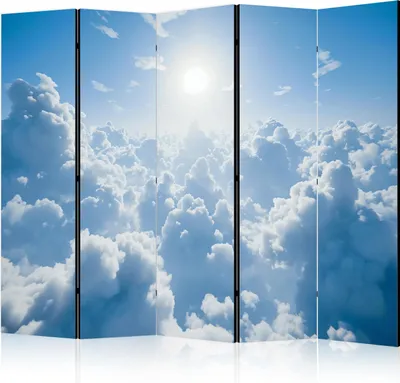 Obrázok produktu pre 5-dielny jednostranný netkaný paraván - Heavenly Calm: Krajiny 225x172 cm b-H-10047-z-b