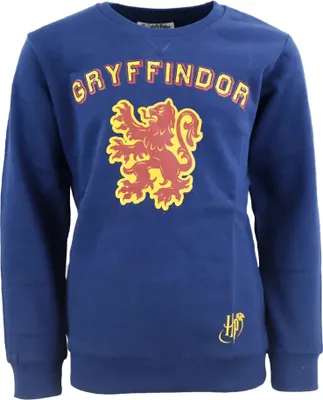 Produktbild von Harry Potter Gryffindor Kinder Jungen Pullover Sweater – Blau / 158/164