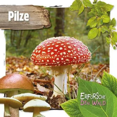 Image de Pilze