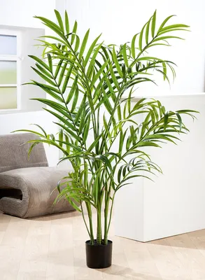 Produktbild von Gilde Getopfte Pflanze, Palme, "Hawaii", Kunststoff, grün, VE 1, H. 150 cm 59043 4063387590430