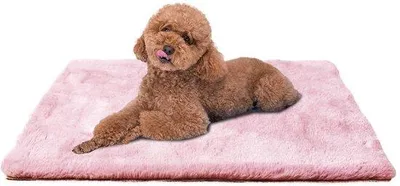 Produktbild von Kleines Hundebett 61x45cm, rosa, waschbar, Antirutschboden
