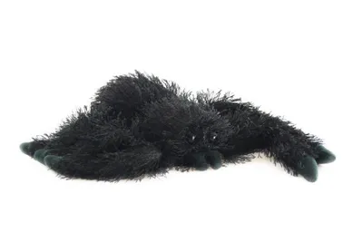 Image de Araignée en peluche 20 cm