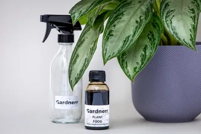 Obrázok produktu pre Sklenená fľaša s rozprašovačom GARDNERS 1 l, číra