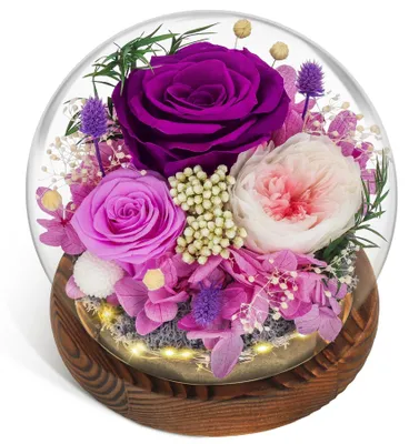 Produktbild von Künstliche Rose in einem Glas-Terrarium mit Beleuchtung
