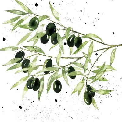 Produktbild von 20 Servietten Olives - Grüne Oliven an Zweige 33x33cm