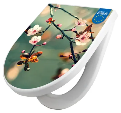 Produktbild von WC Sitz mit Absenkautomatik D Form Motiv Japankirsche [TDW3 12761]