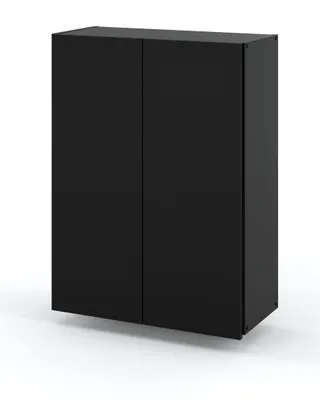 A black cabinet with two doors is shown against a white background.