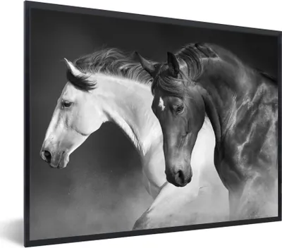 Produktbild von MuchoWow® Gerahmtes Poster Pferde - Tiere - Schwarz - Weiß - Porträt 80x60 cm - Poster mit Schwarzem Bilderrahmen Wandposter Rahmen Foto Bilder - Schwarzem - Mit Gestell