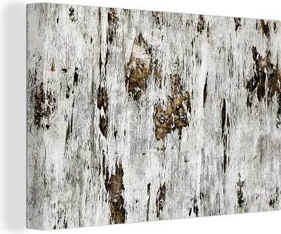 Produktbild von OneMillionCanvasses® - Leinwandbilder - 140x90 cm, Birke - Weiß - Holz, Wandbilder Kunstdruck Wanddekoration - Foto auf Leinwand - Gemälde auf Holzrahmen