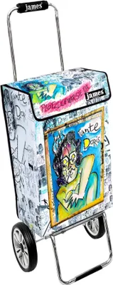 Obrázek produktu pro Nákupní vozík James - TANTE DORIS - robustní nákupní vozík s individuálním designem - vícebarevný: bílá | zelená v provedení: Chrome19