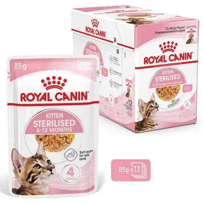 Produktbild von Royal Canin FHN Kitten Sterilised in Jelly 12x85g Nassfutter für kastrierte Kätzchen bis 12 Monate