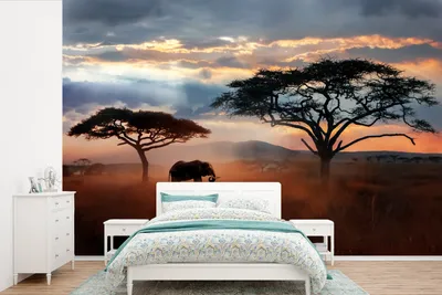 Produktbild von Afrika Boom Fotobehang Olifant - Wanddeko - 450 cm x 300 cm Breite - Höhe - Dekoration