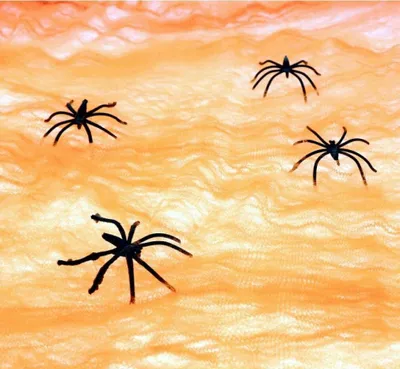 Image de Toile d'araignée avec araignées