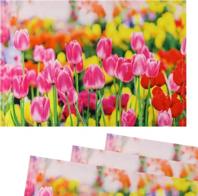 Immagine prodotto di Tovagliette in tessuto tovagliette CLOTH rosa tulipani fiore prato