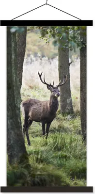 Produktbild von MuchoWow® Textilposter Hirsche - Bäume - Gras 90x180 cm mit schwarzem Rahmen - Dekoration Wohnzimmer