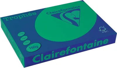 Obrázek produktu pro Multifunkční papír Clairefontaine Trophée A3, 160 g/m², zelený, 250 listů