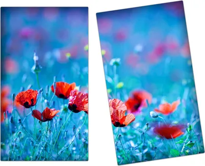 Produktbild von Spritzschutz Herdabdeckplatte Schneidebrett aus Glas Blumenwiese 2-Teilig (60x52cm)