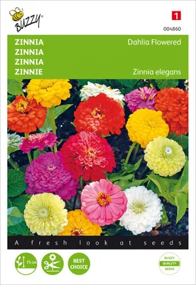 Produktbild von Zinnie Gefülte Dahlienblütige Mischung | Zinniensamen von Buzzy Seeds