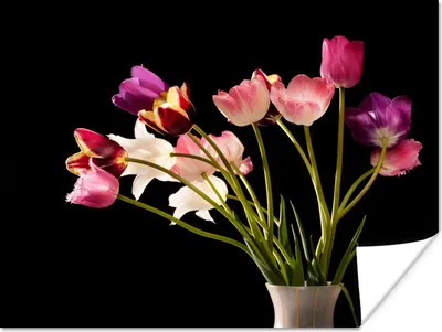 Produktbild von MuchoWow® Poster Tulpen - Stilleben - Blumen 160x120 cm - Foto Plakat