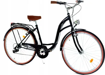 Zdjęcie produktu dla Rower Dallas City 28" 7spd - czarny z brązem