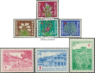 Produktbild von Briefmarken Belgien 1950 Mi 876-882 (kompl.Ausg.) postfrisch Tuberkulose