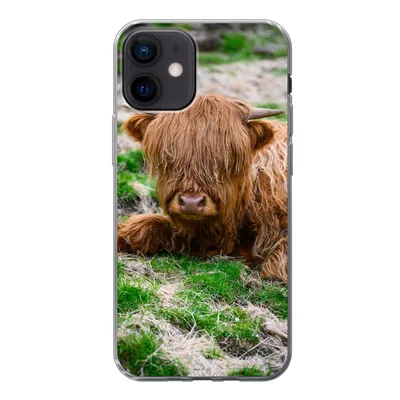 Produktbild von MuchoWow® Handyhülle Schutzhülle Hülle für iPhone 12 Schottischer Highlander - Heu - Gras Silikon Softcase Handy Hülle - Schutzhülle