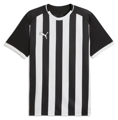Obrázek produktu pro Dres teamLIGA26 s proužky