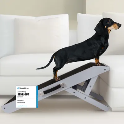 Produktbild von Hunderampe - Hundetreppe für kleine Hunde und große Hunde - Einstellbar 18 - 53 cm - Für Bett, Sofa - Birkenholz - Landeplattform schließt nahtlos an - Rampe Hund Klappbar - Anti-rutsch Einsatz Grau