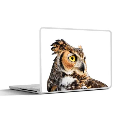 Produktbild von MuchoWow® Laptop Aufkleber Sticker Cover Braune Eule mit weißem Hintergrund 31x22.5 cm - Laptop-Deko