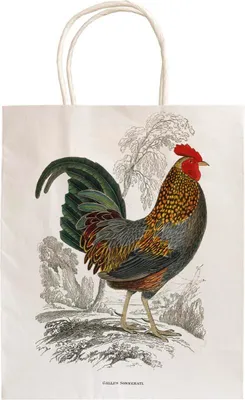 Obrázok produktu pre Dárková papírová taška Cockerel