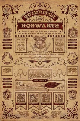 Produktbild von Pyramid International PP34067, 1 Stück(e), Wizarding World, Rechteck