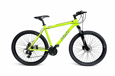 Produktbild von Pilot Bike 29 Zoll, Mountainbike MTB Herren Damen Shimano 21 Gang Scheibenbremse Aluminium Rahmen Grün