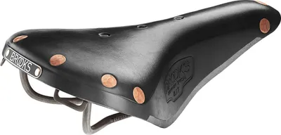 Image de Selles Vélo Brooks B211000A27202 - B17 Special Titanium - Black