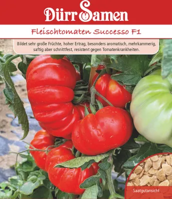 Produktbild von Fleischtomaten Successo F1 | Fleischtomatensamen von Dürr Samen