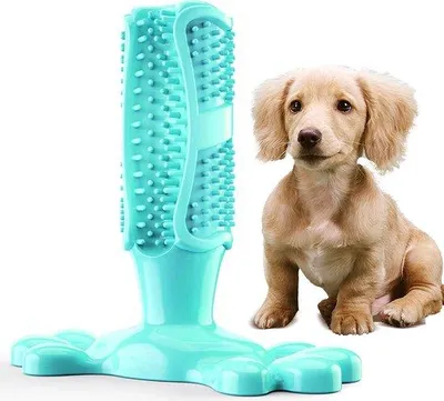 Immagine prodotto di Giocattolo da masticare per cani di taglia media - Gomma naturale - Blu - Fascia di peso 10-18 kg
