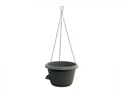 Produktbild von SIESTA selbstbewässernder Hängefrosch d35x20cm