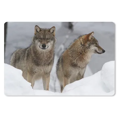Produktbild von MuchoWow® Schreibtischunterlage Wolf - Schnee - Tiere 60x40 cm - XXL Mauspad - Großes Mauspad