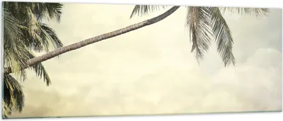 Produktbild von Bilder auf glas - Einteilig - Palme Strand Insel - 140x50cm - Glasbilder - Wandbilder - Bilder - zum Aufhängen bereit - Wanddekoration aus Glas - Glas Bilder - Wandbild auf Glas - GAB140x50-4154