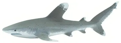 Produktbild von Safari Ltd Oceanic Whitetip Shark Figur Grau From 3 Years Grau From 3 Years