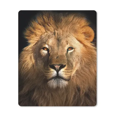 Produktbild von MuchoWow® Mauspad Mousepad Löwe - Tiere - Schwarz - Hell - Braun - Porträt 30x40 cm - Mousepads - Maus Mat - Pad - Mausunterlage - Mausmatten