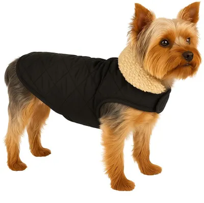 Productafbeelding van Flamingo hondenkleding – Model: Bonnie – Kleur: Zwart – Maat: A: 30 cm | B: 31–32 cm | C: 46–49 cm –