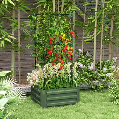 Produktbild von Beeteinfassung für den Garten, Tomatenkäfig Kletterpflanzen