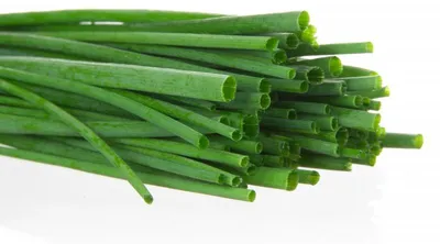 Produktbild von Allium tuberosum Samen, Schnittknoblauch mit mildem Knoblauchgeschmack, weiße Blüten, 100 Samen