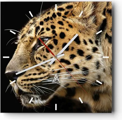 Produktbild von Wanduhr - Quadrat - Glasuhr - Tiere Leopard wilde Katze wilde Tiere - 30x30cm - Schleichendes Uhrwerk - Lautlos - zum Aufhängen bereit - Dekoration Modern - Wanddekoration aus Glas - C3AC30x30-0433
