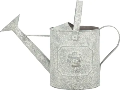 Produktbild von Esschert Design Löwenkopf 4,5 Liter Landhaus Kanne Stil Stahl Verzinkt Zink grau